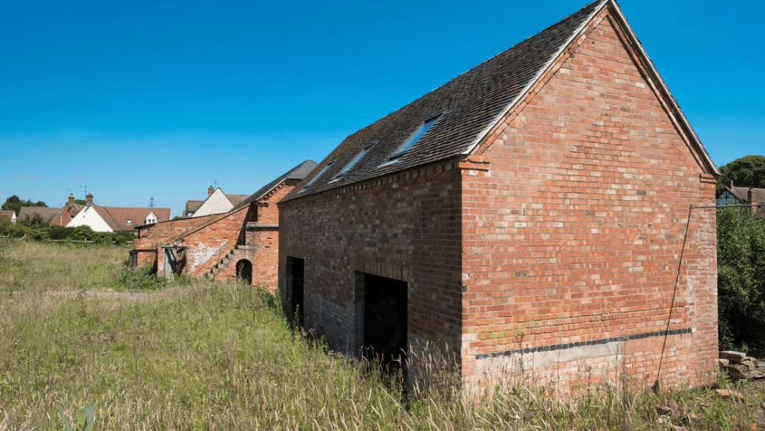 Website images-37